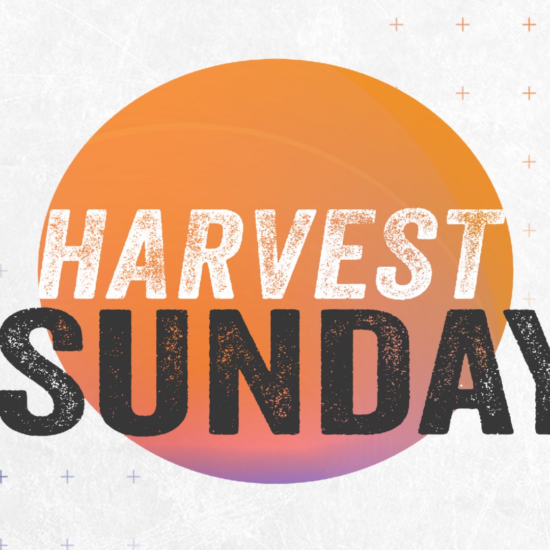 Harvest Sunday