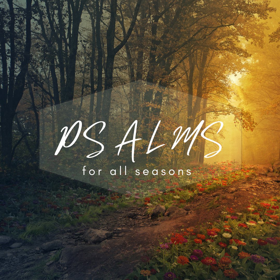 Seasons of Surrender (Sermon) episode artwork
