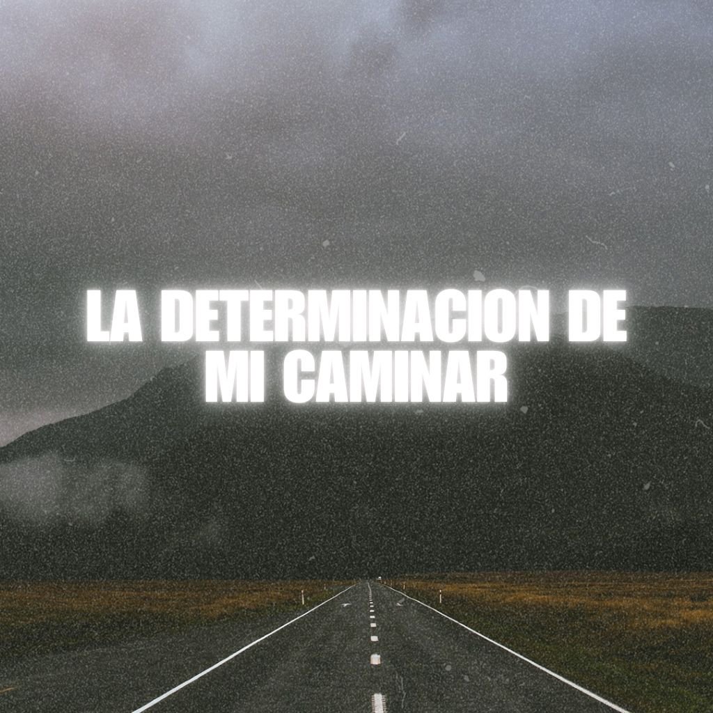 La determinacion en mi caminar
