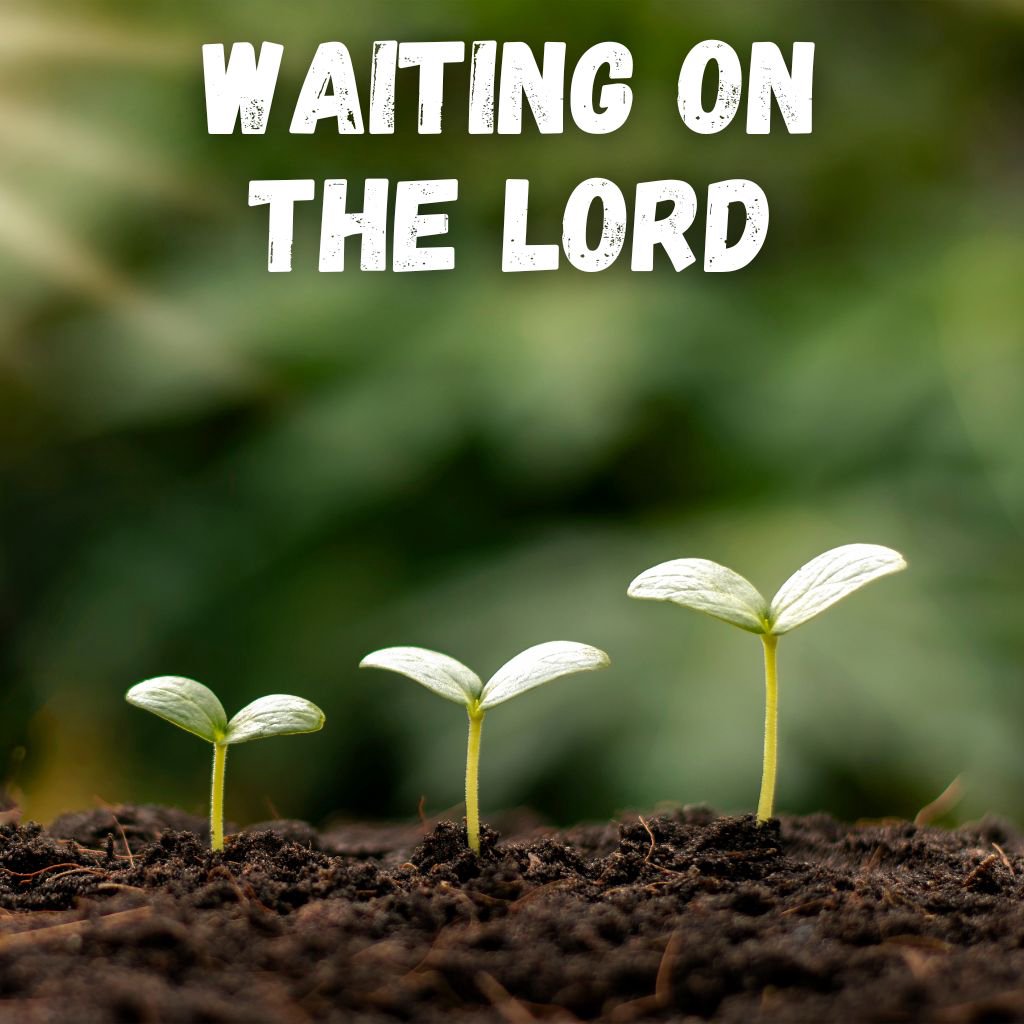 Waiting on The Lord episode artwork