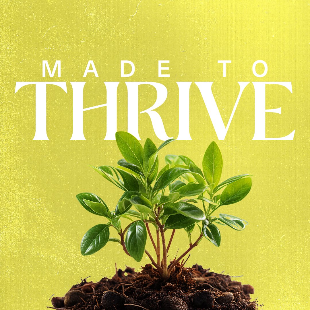 Freedom Life Church Podcast