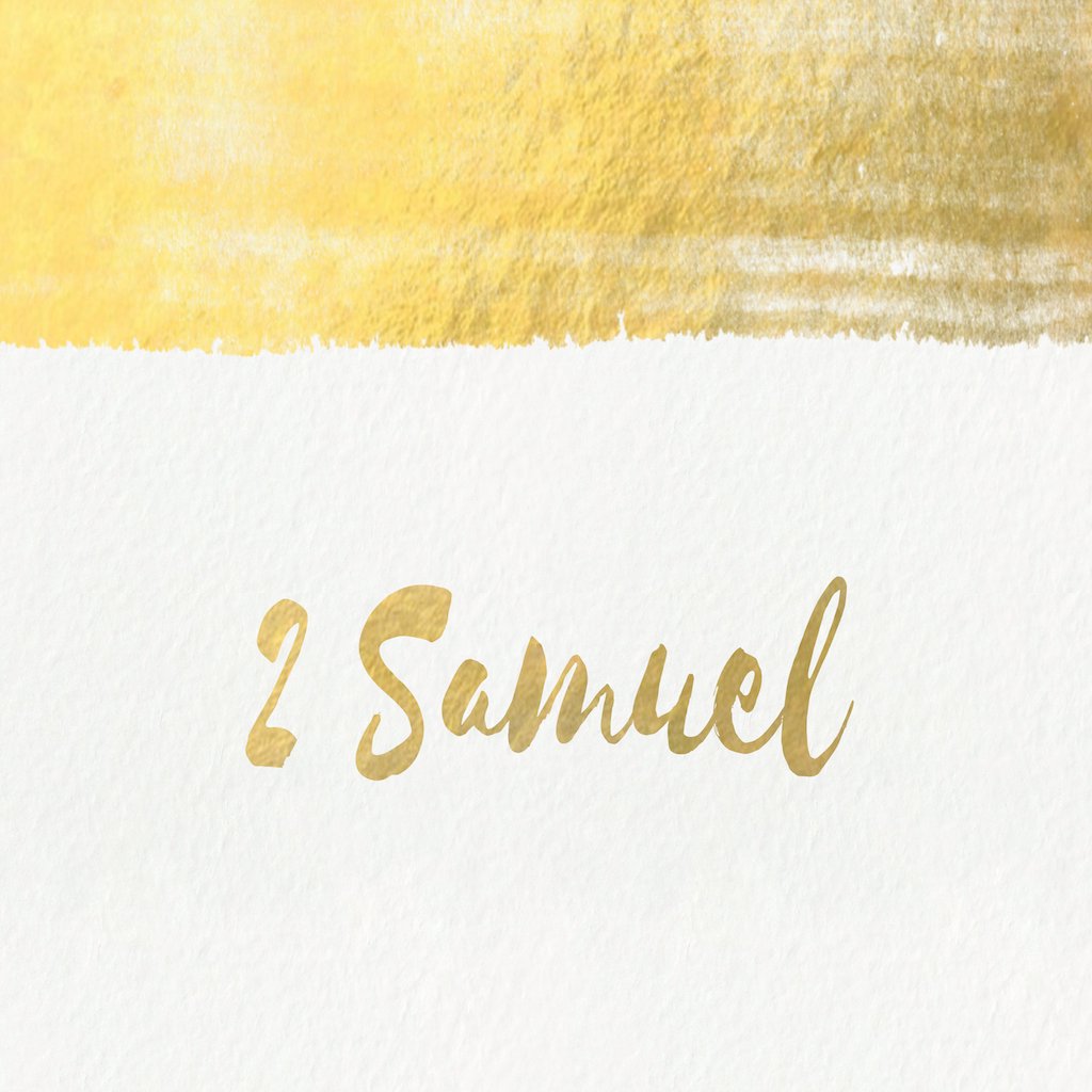 2nd Samuel 16:22-17:29