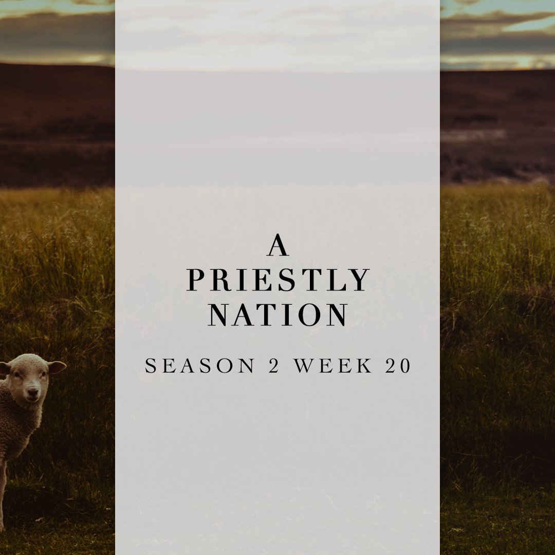 PORTIONS - A TFI Podcast