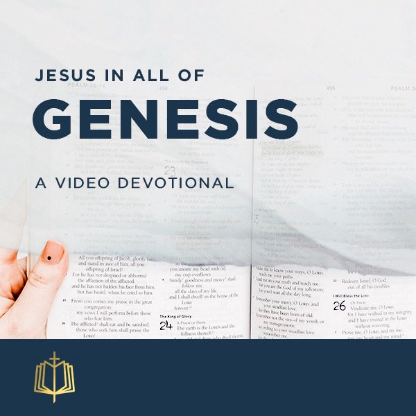 Part 13: Genesis 22-23 episode artwork