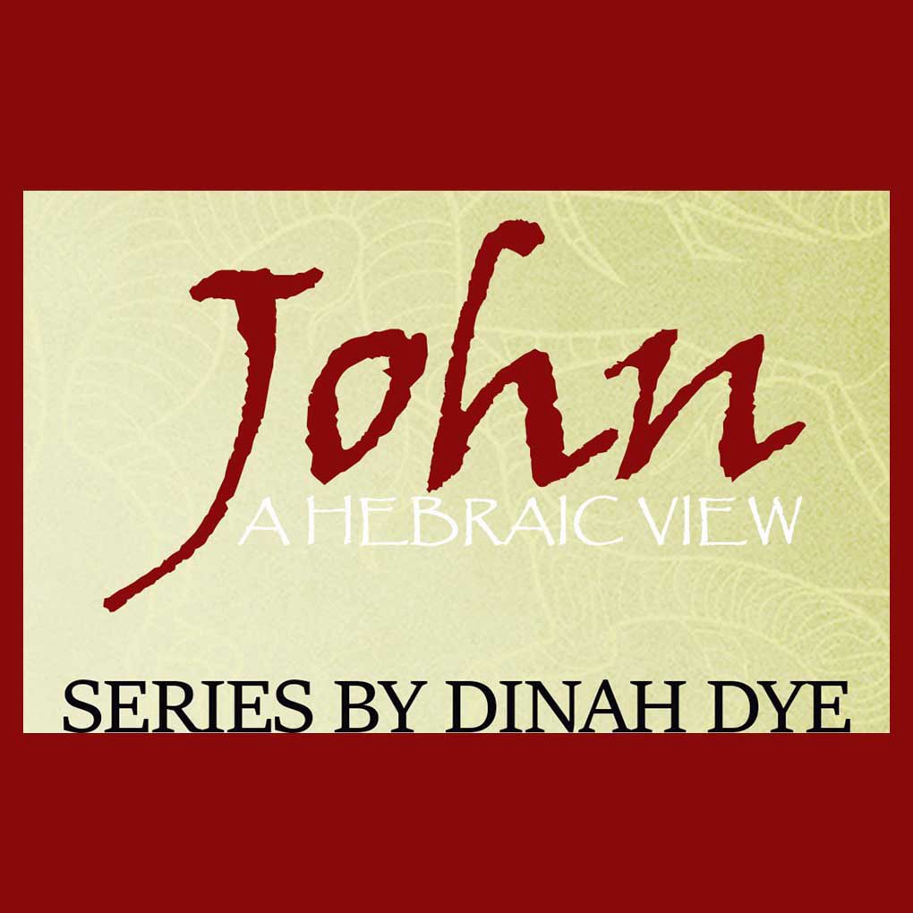 The Gospel of John 10