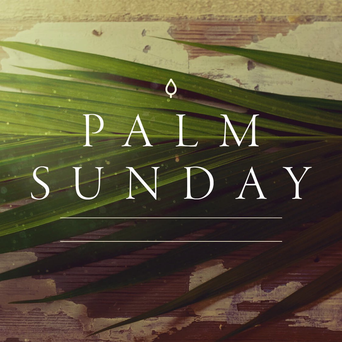 Palm Sunday episode artwork