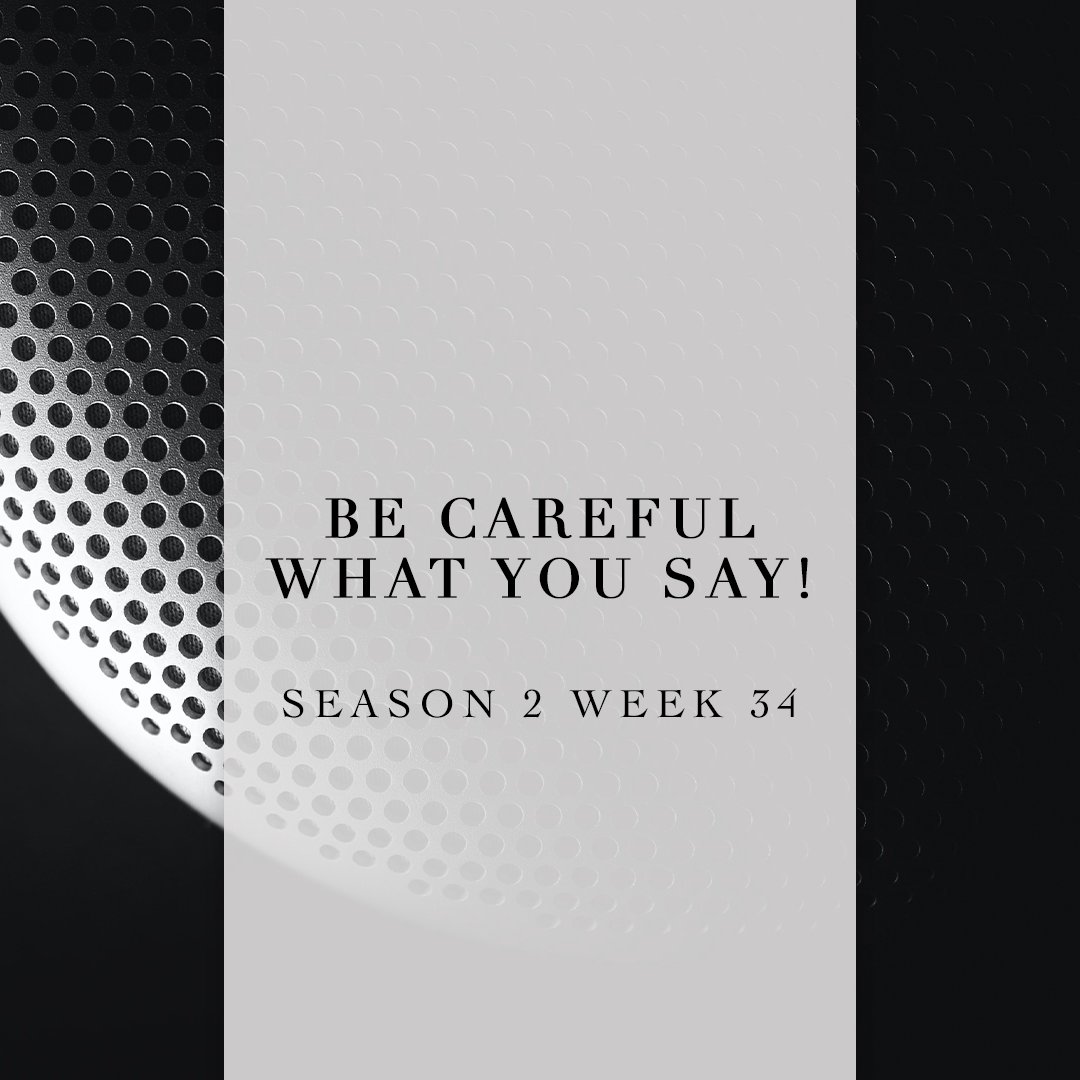 Be Careful What You Say! episode artwork
