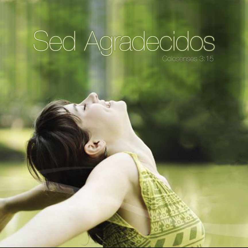 Sed Agradecidos episode artwork