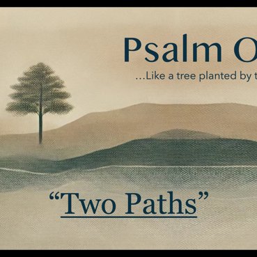 Two Paths episode artwork