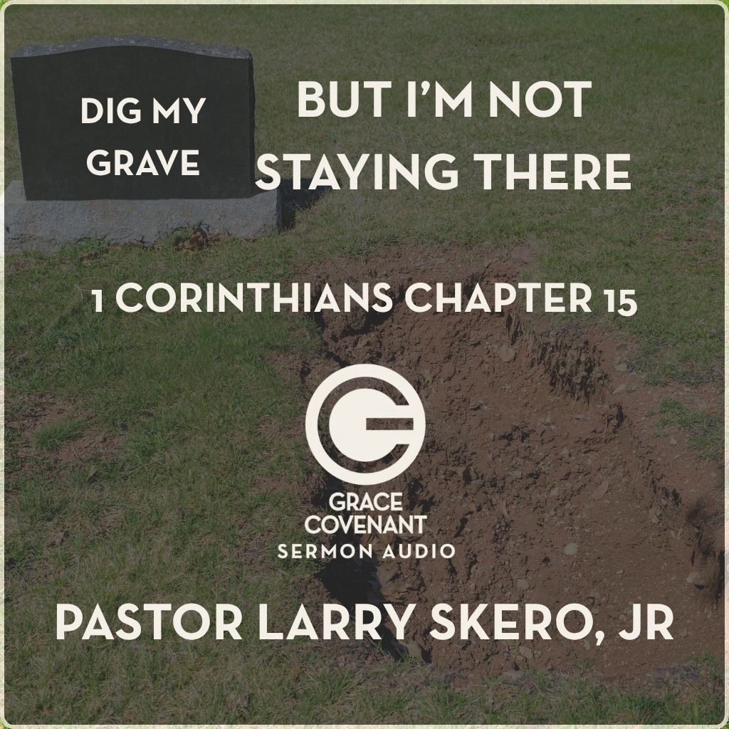 Dig My Grave, But I'm Not Staying There episode artwork