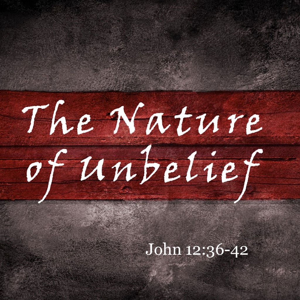 The Nature of Unbelief