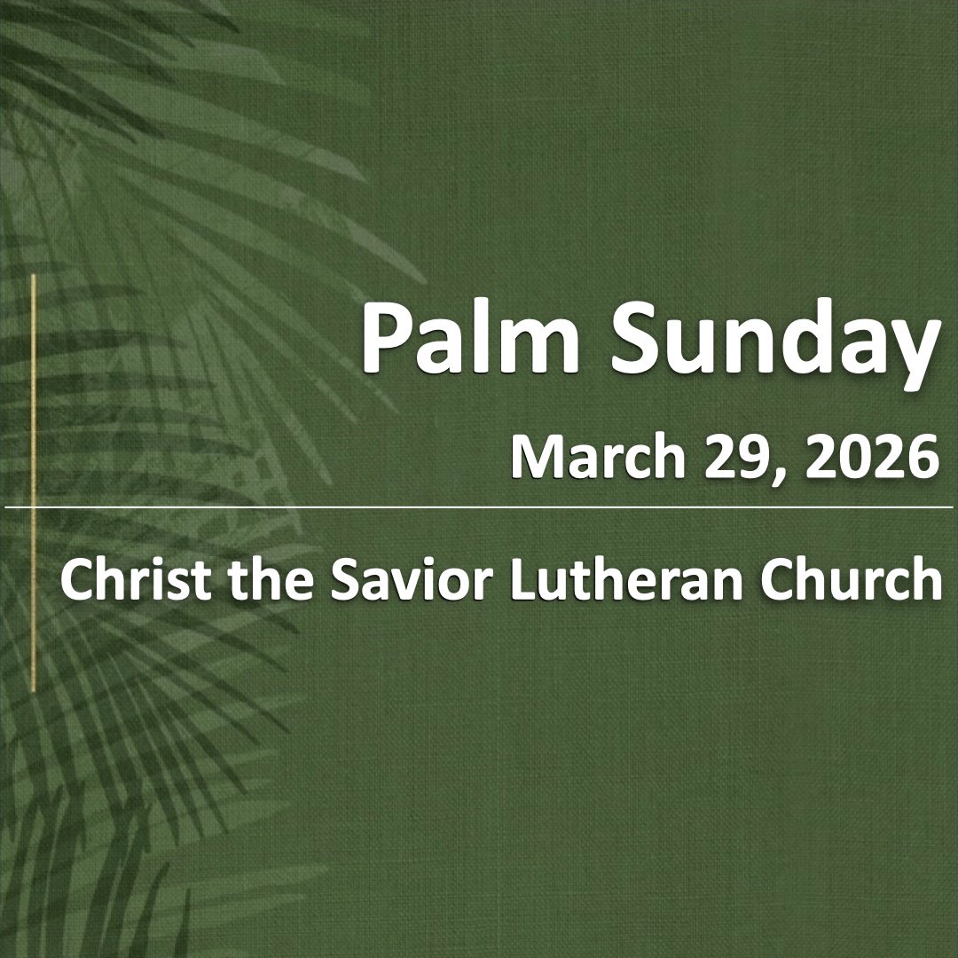 Palm Sunday Palm Sunday
