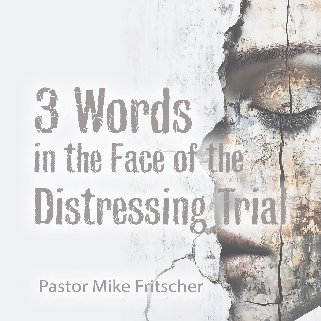 3 Words In the Face of the Distressing Trial episode artwork