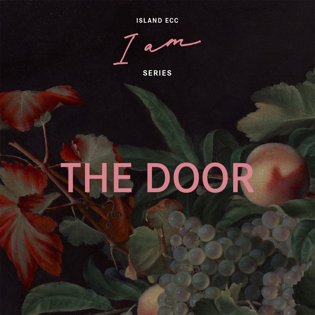 I AM: The Door episode artwork