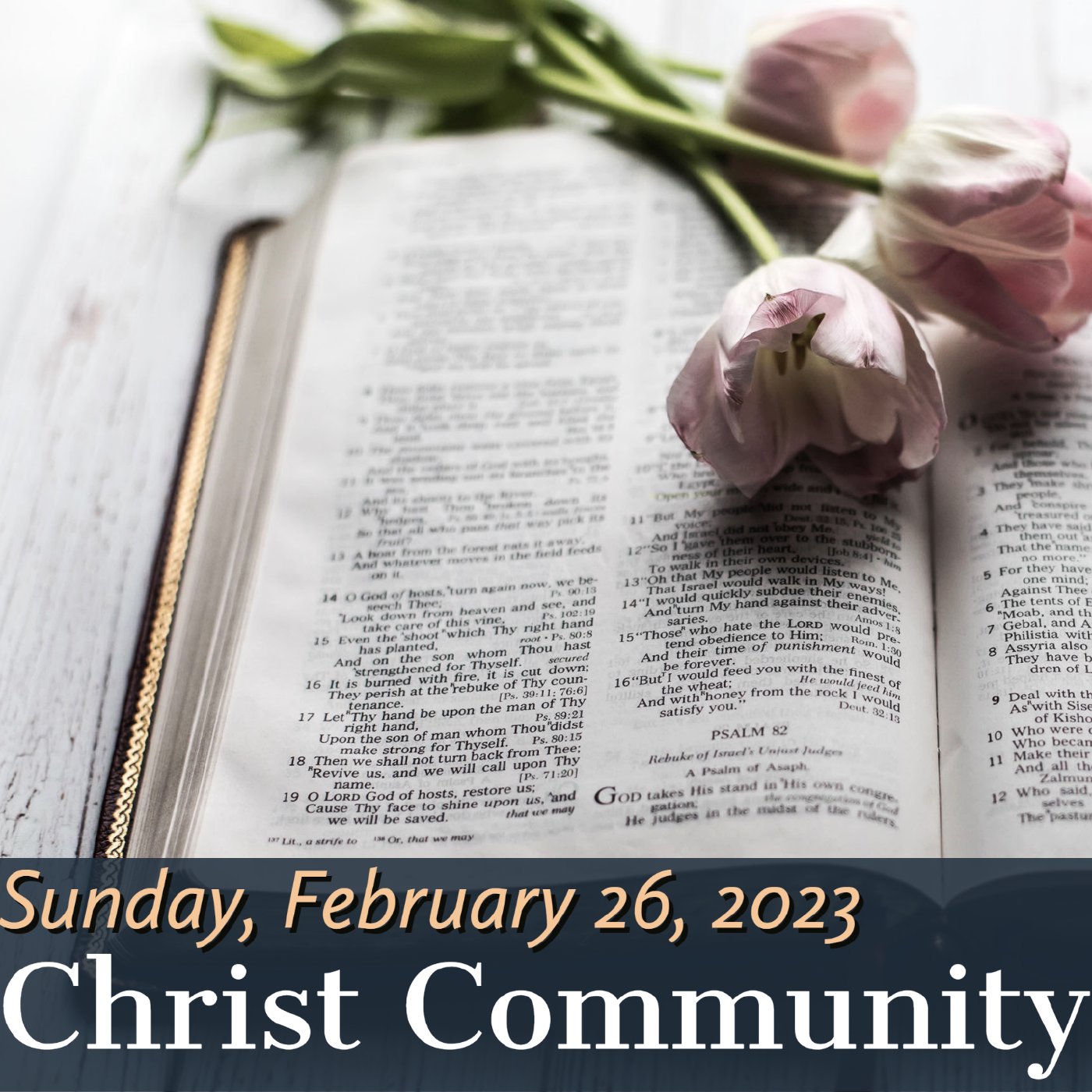 Christ Community Gainesville