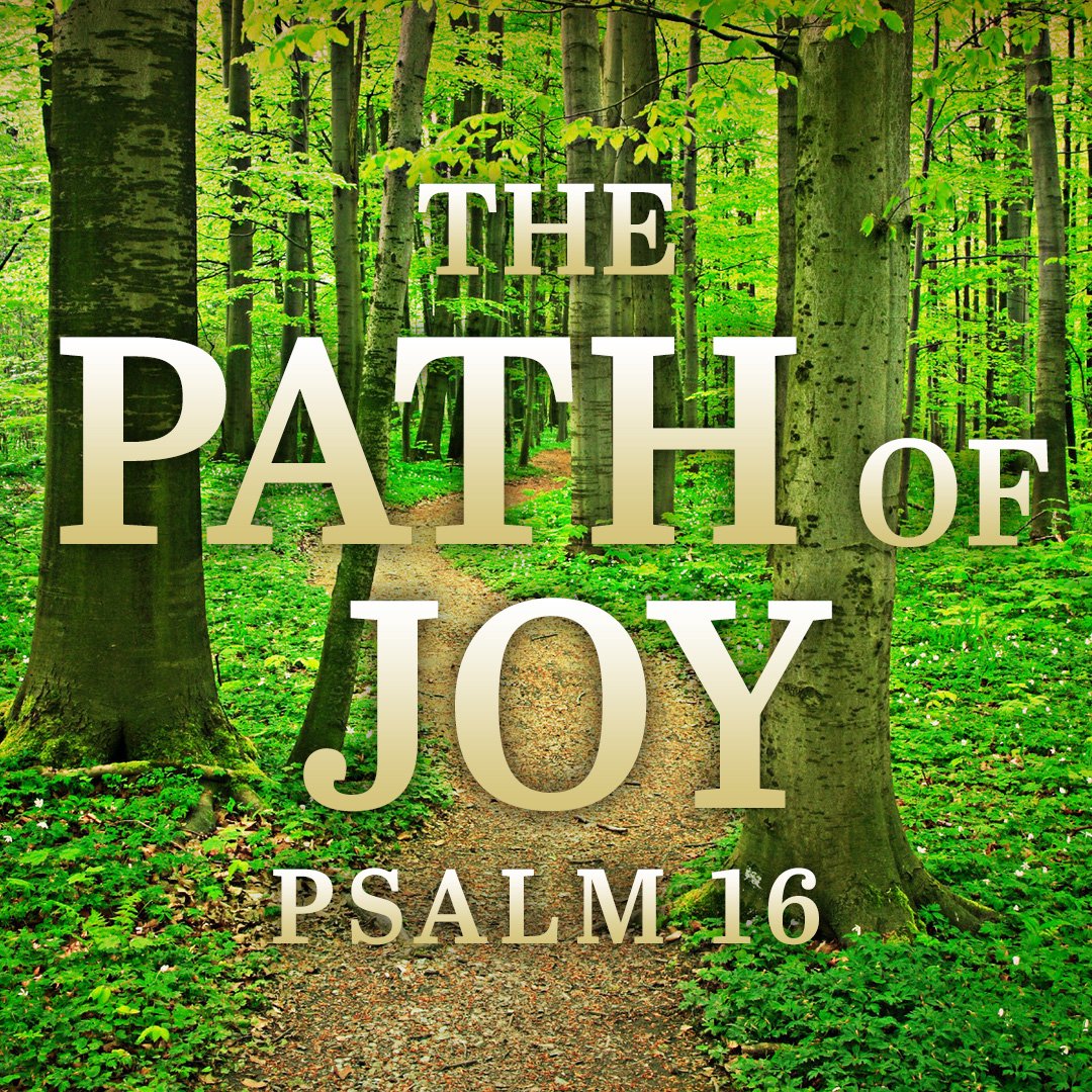 The Path of Joy episode artwork