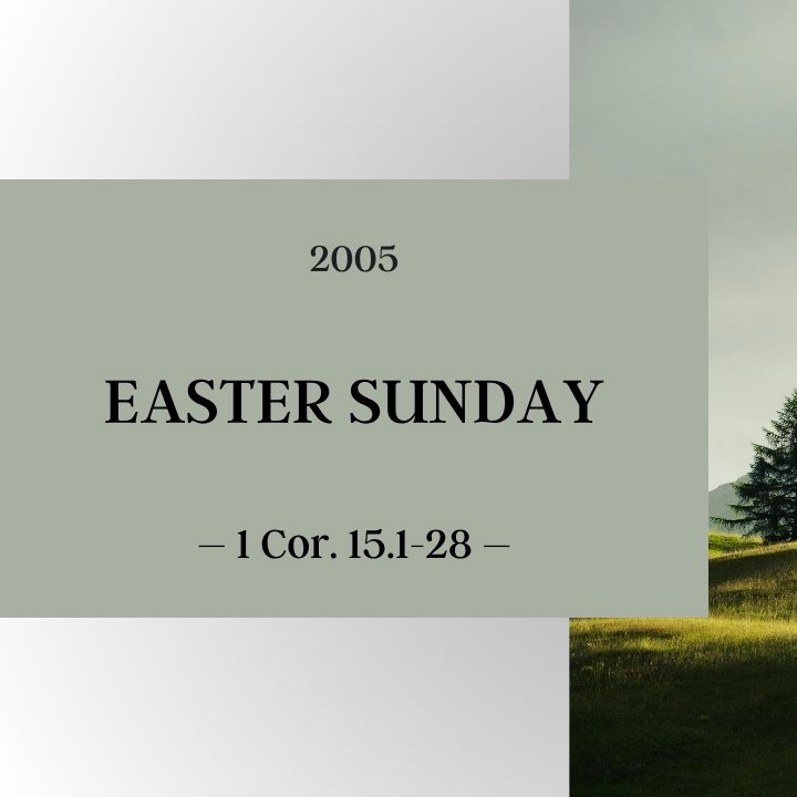 Easter Sunday | 2005 episode artwork