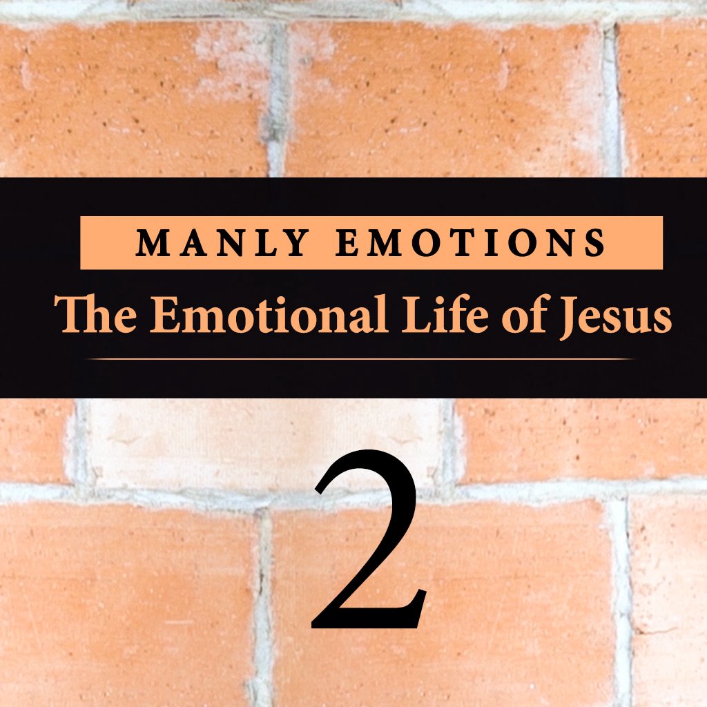 The Emotional Life of Jesus: An Overview episode artwork