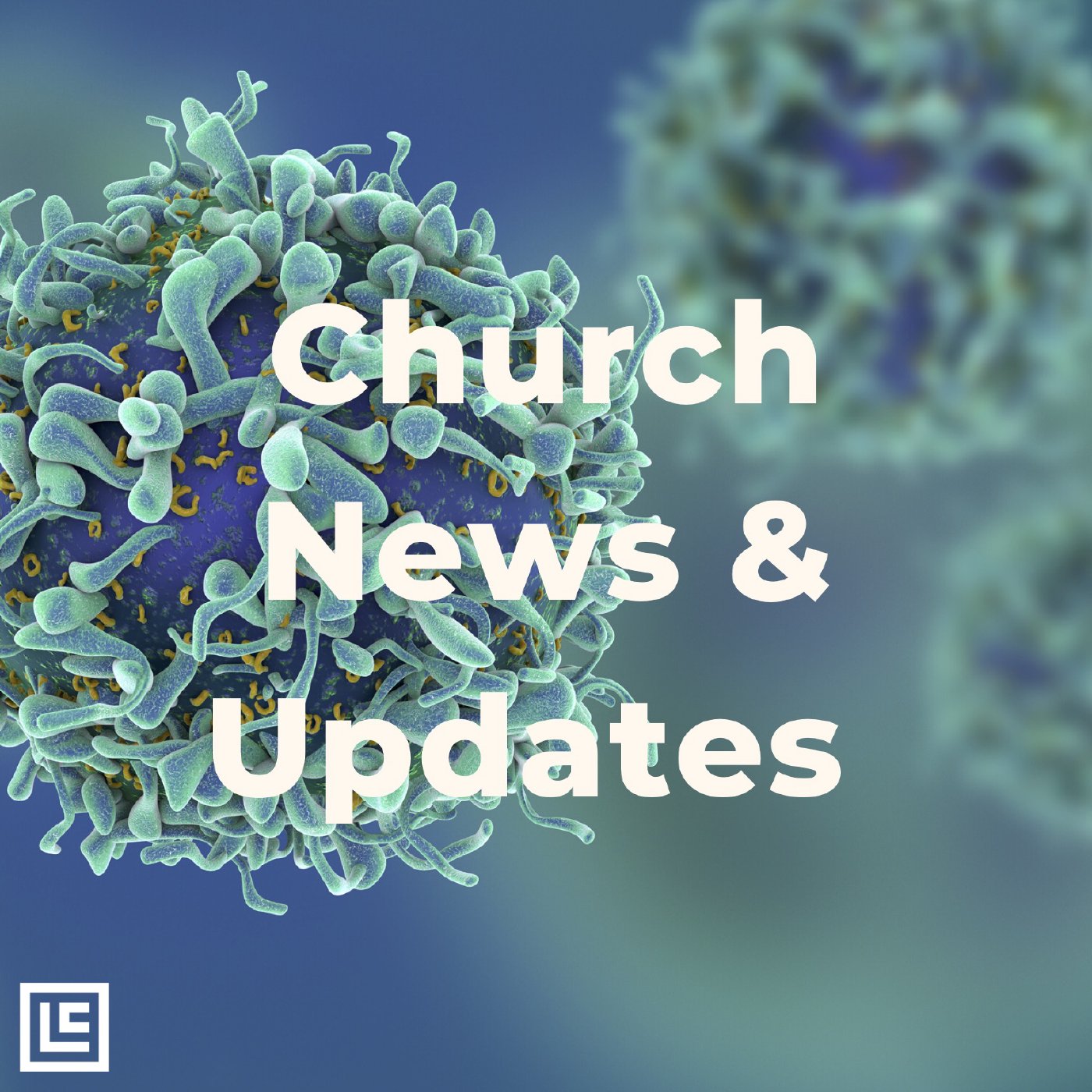 Week Three Update