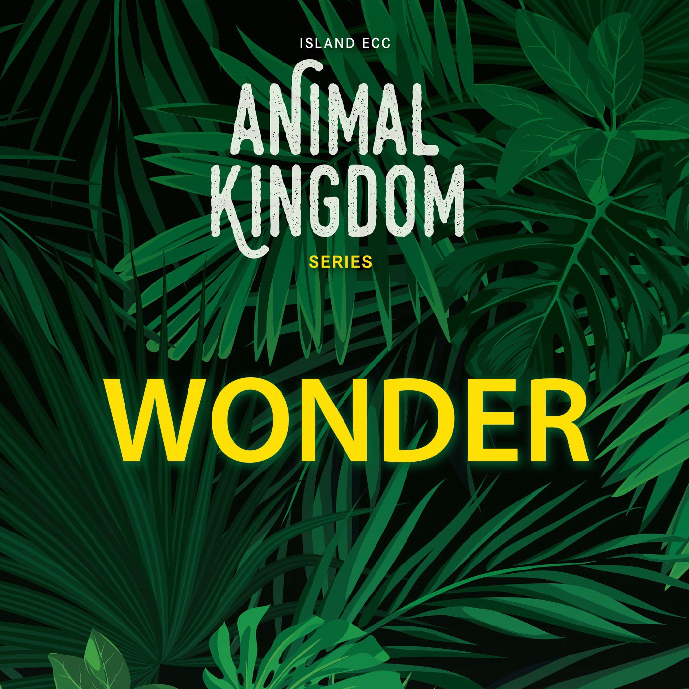 Animal Kingdom: Wonder episode artwork
