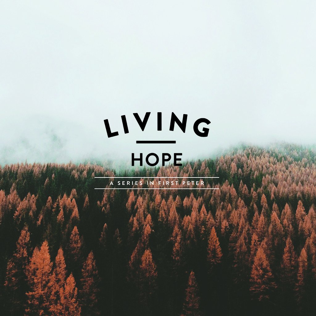 The Book of 1 Peter Part 2 - Living Hope Week 2 episode artwork