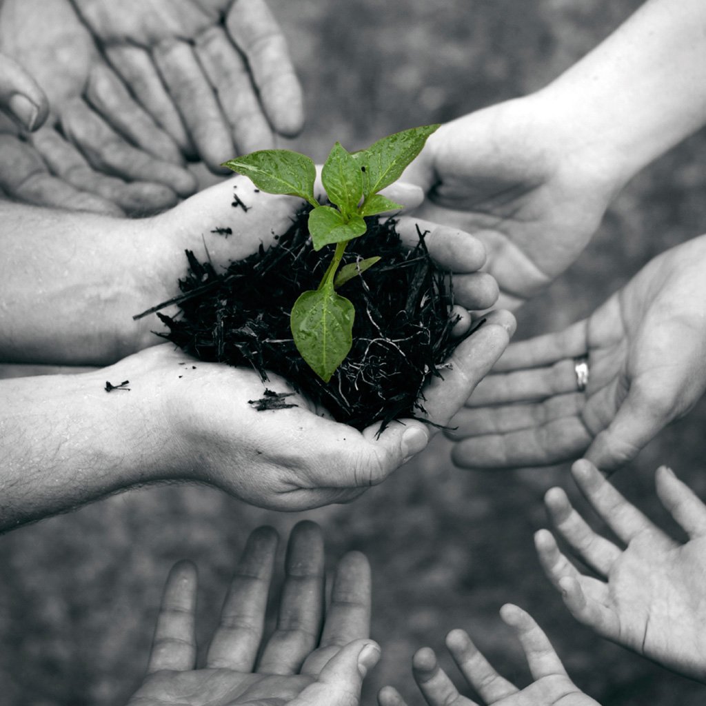 Modern Church Planting episode artwork