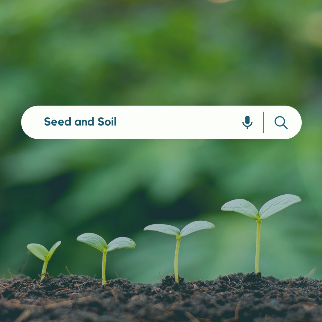 Seed and Soil episode artwork