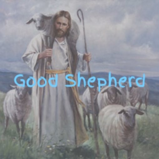 Good Shepherd episode artwork