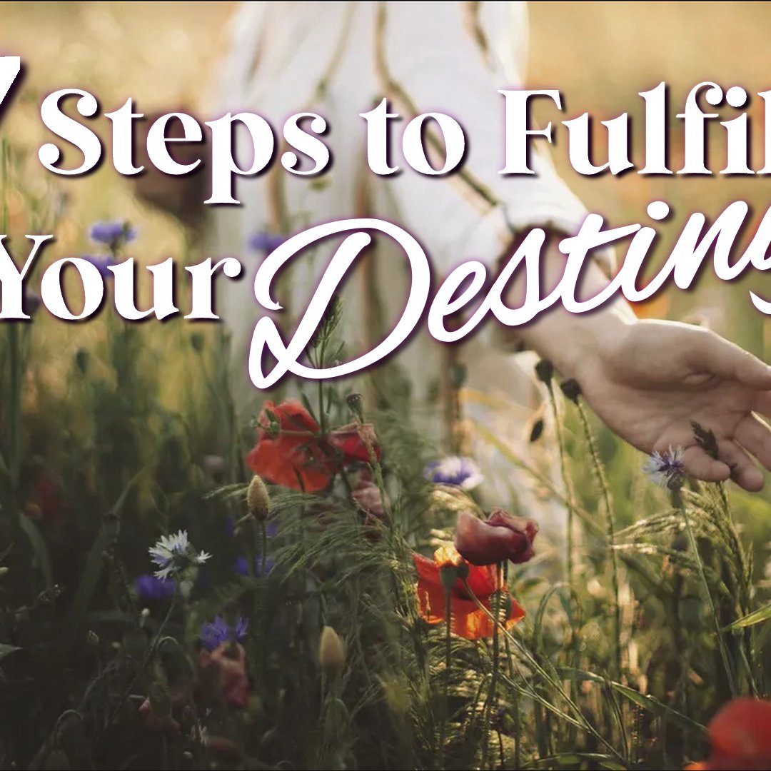 Stephen Fraser Ministries