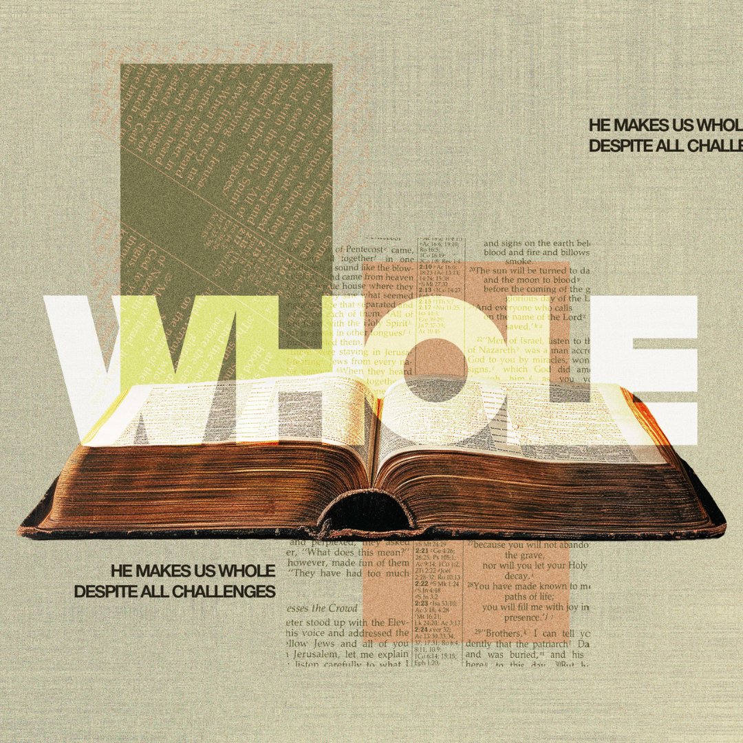 Whole | Part 3 episode artwork