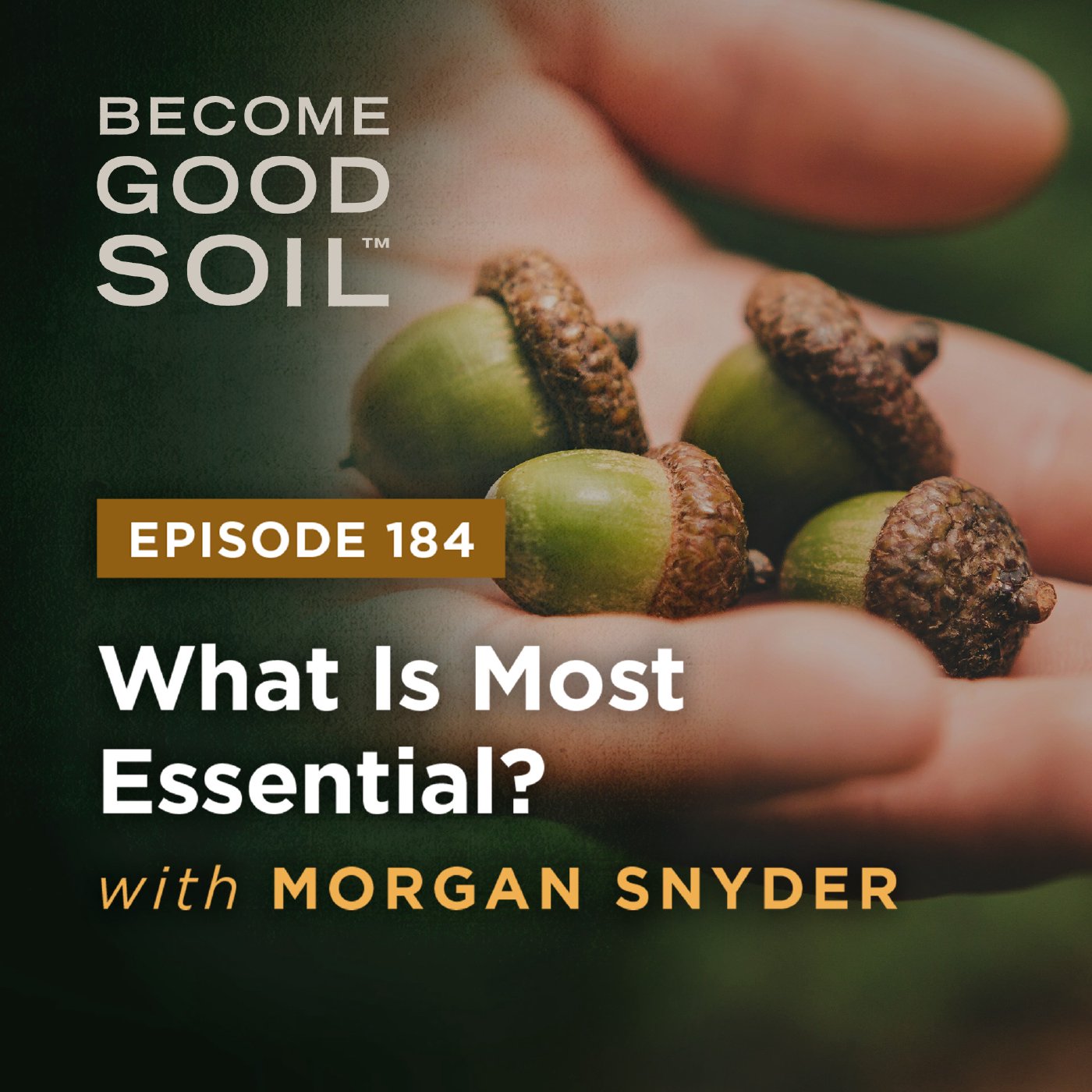 Become Good Soil