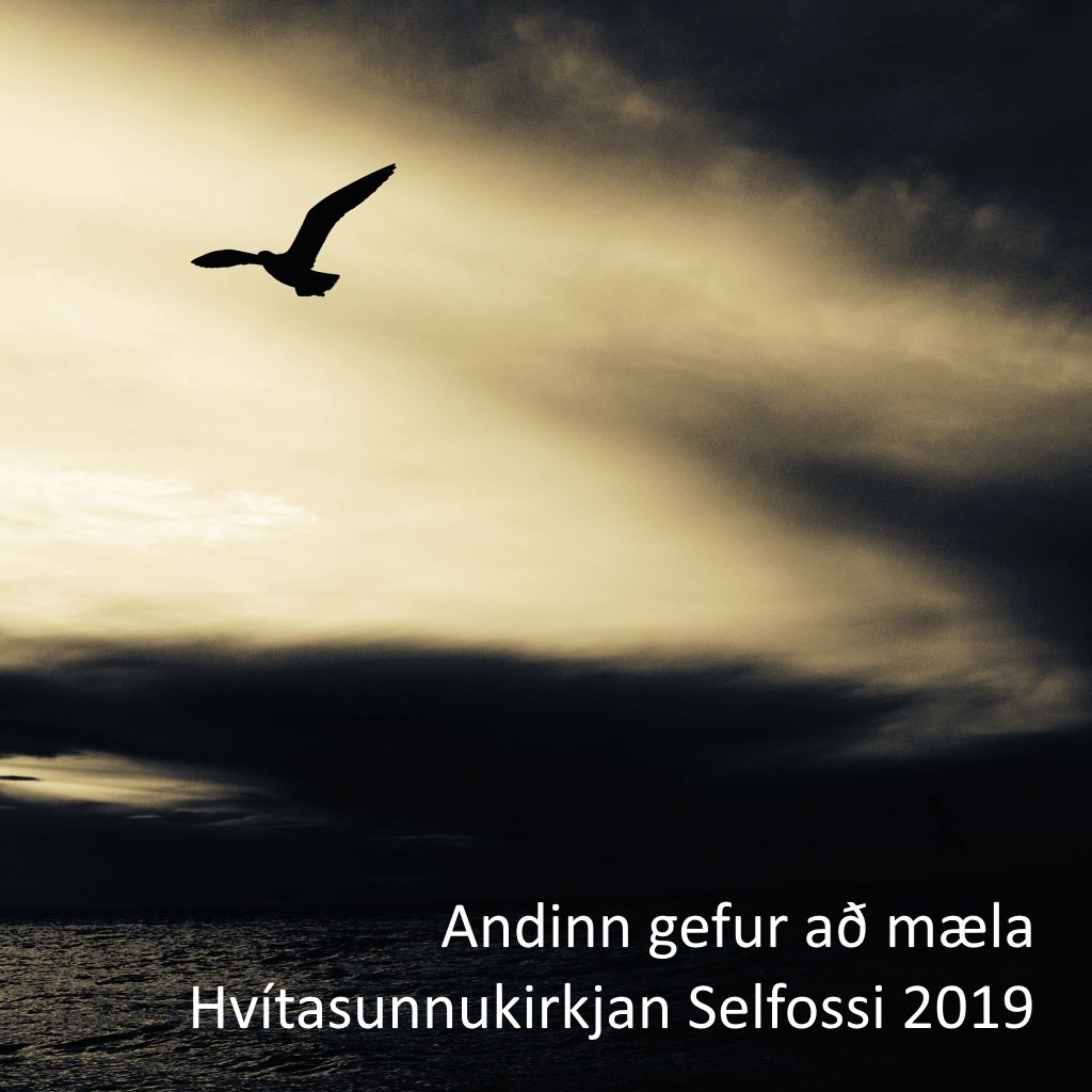 Selfossgospel
