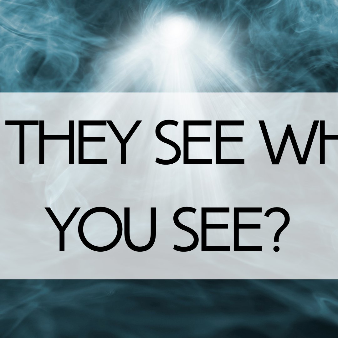 Do They See What You See?