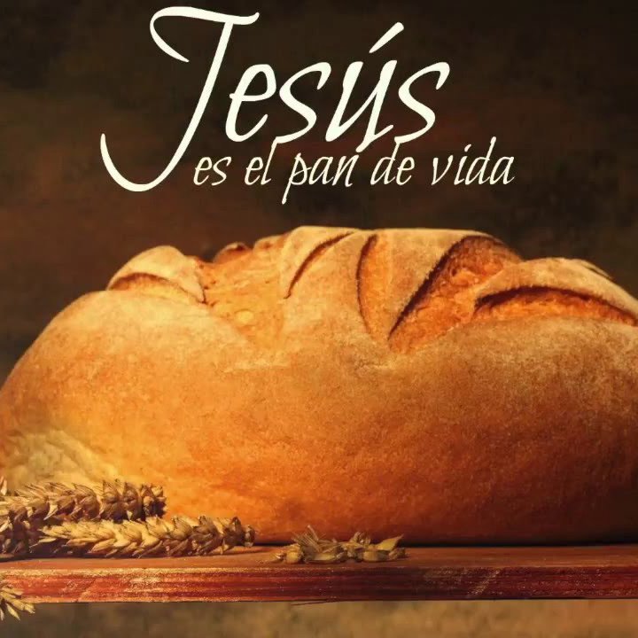 .::Predicaciones - Estudios Biblicos - Sermon::. ~
