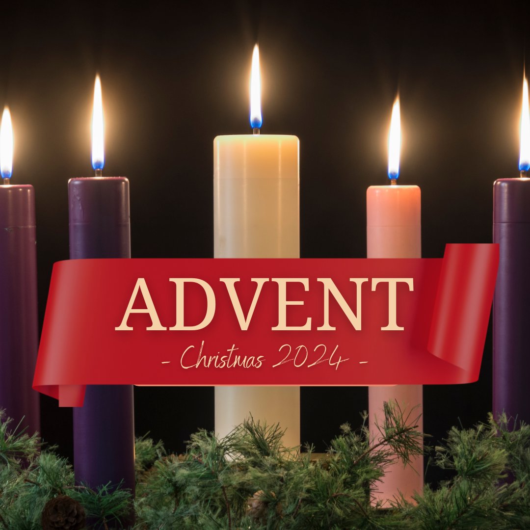 Advent 2024 - Peace episode artwork