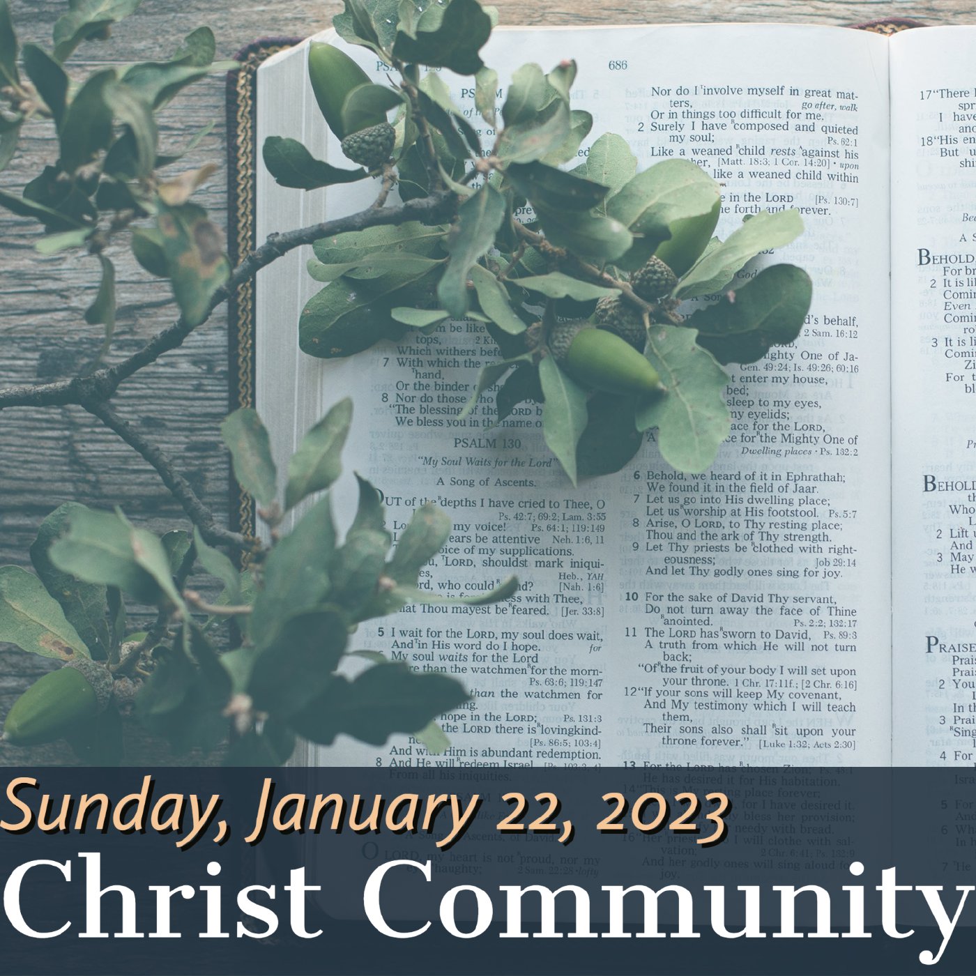 Christ Community Gainesville