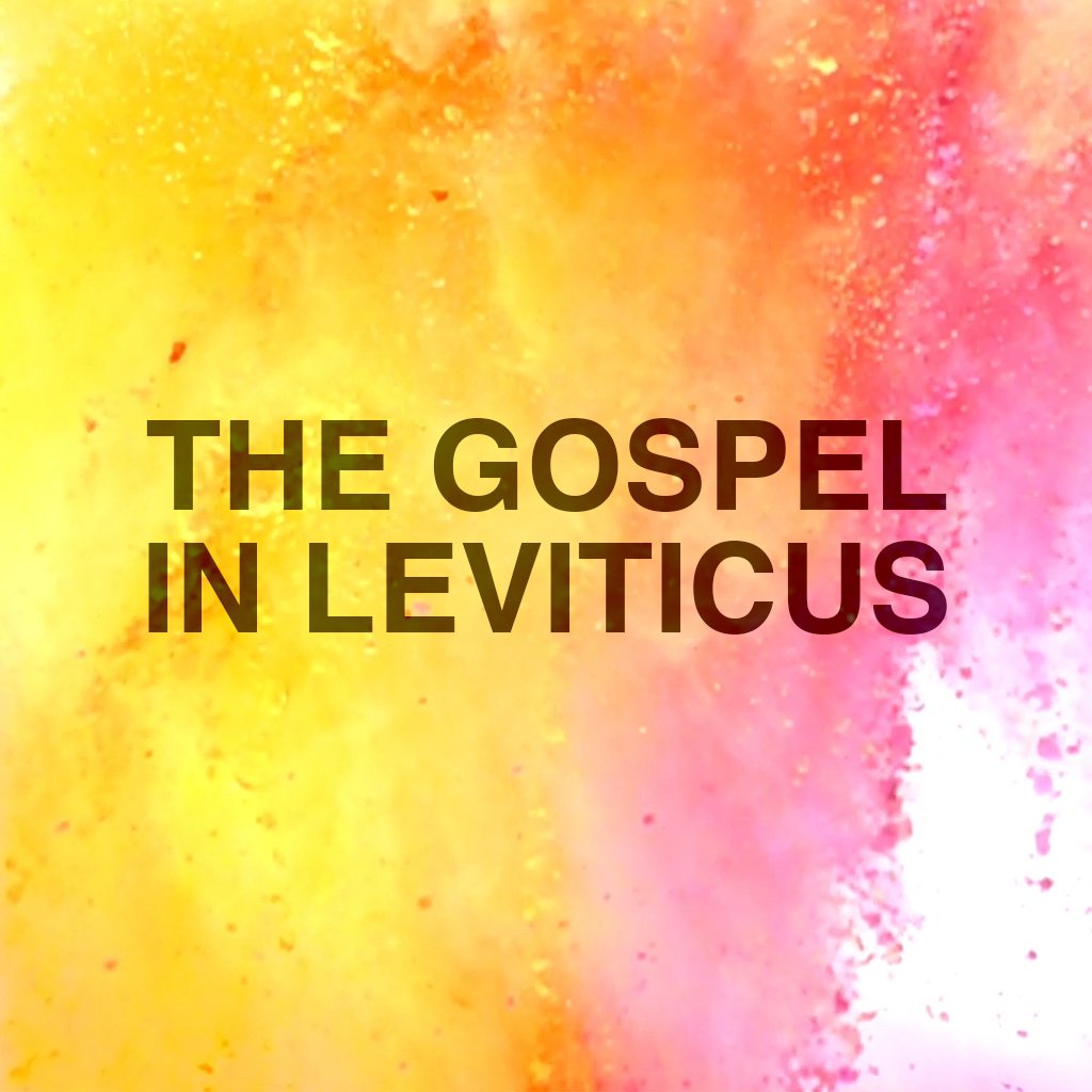 Sin - The Gospel in Leviticus episode artwork