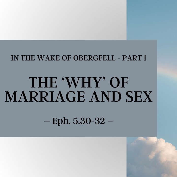 The 'Why' of Marriage and Sex | In the Wake of Obergfell - Part 1 episode artwork