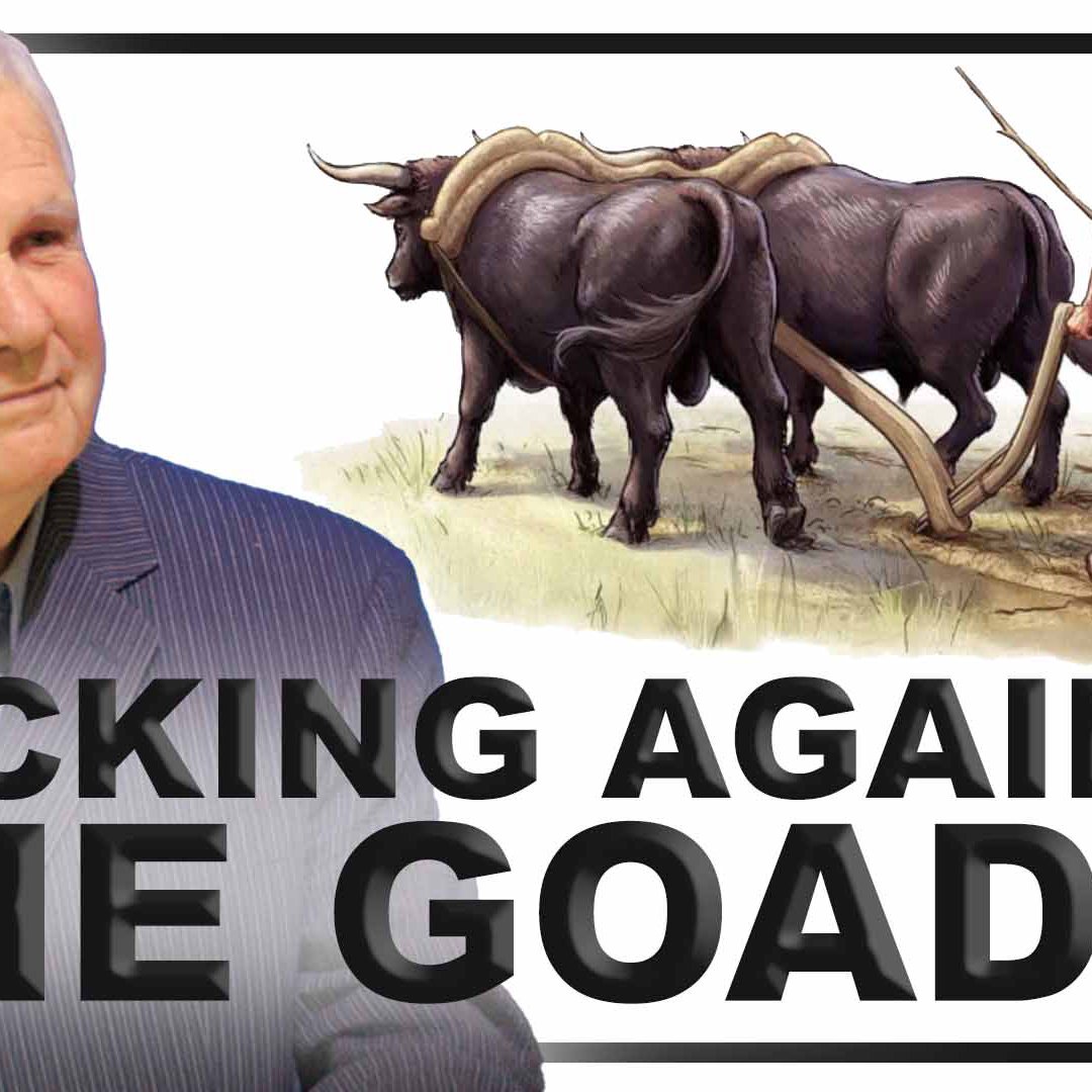 Kicking Against The Goads Kicking Against The Goads