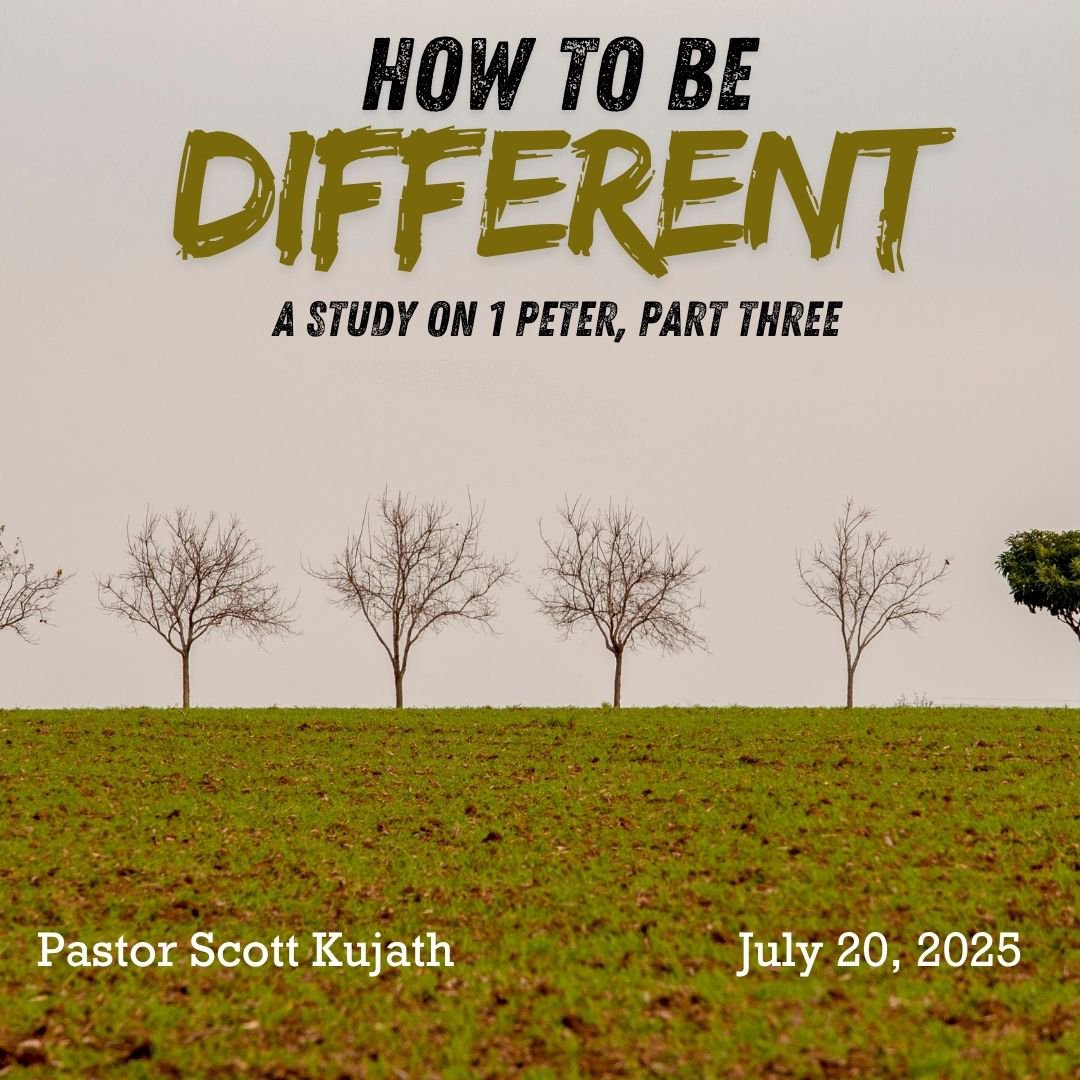 How To Be Different, Part Three