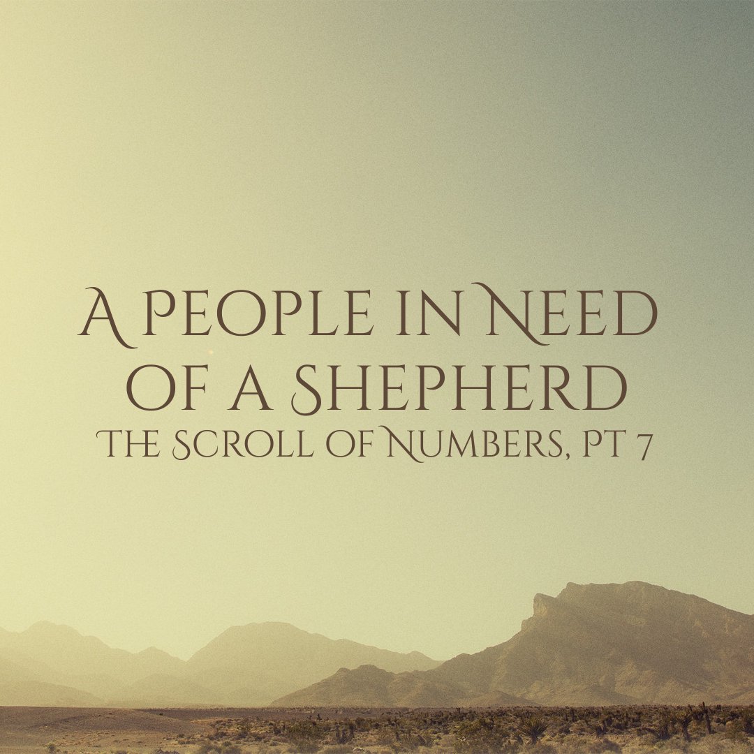 A People in Need of a Shepherd