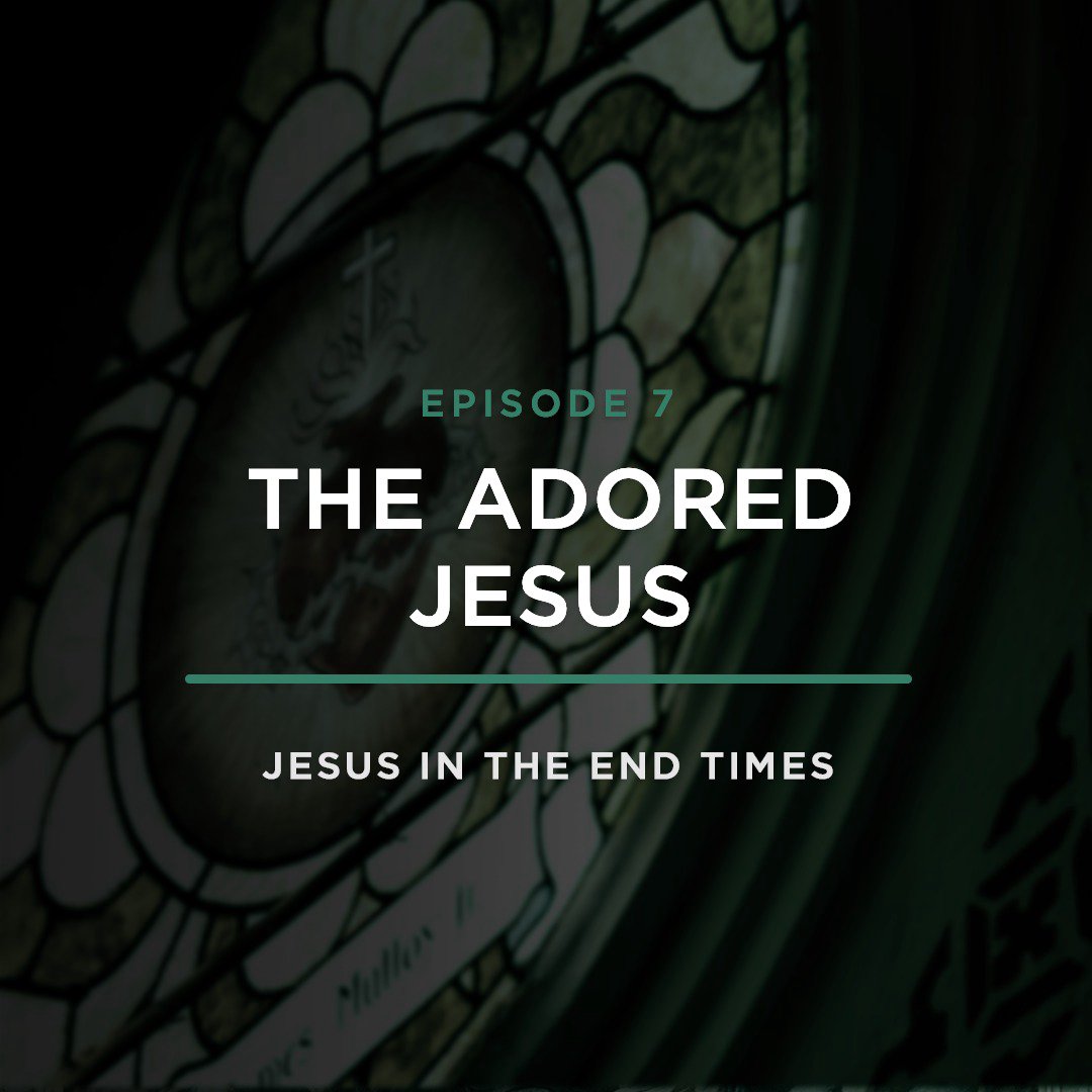 The Adored Jesus // Jesus In the END-TIMES with Stephanie Quick