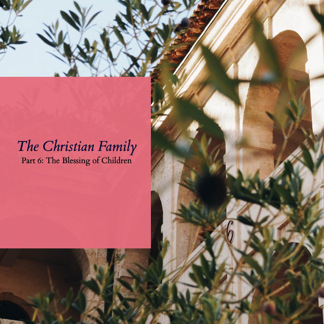 Part 6 - The Blessing of Children (Psalm 127-128) episode artwork