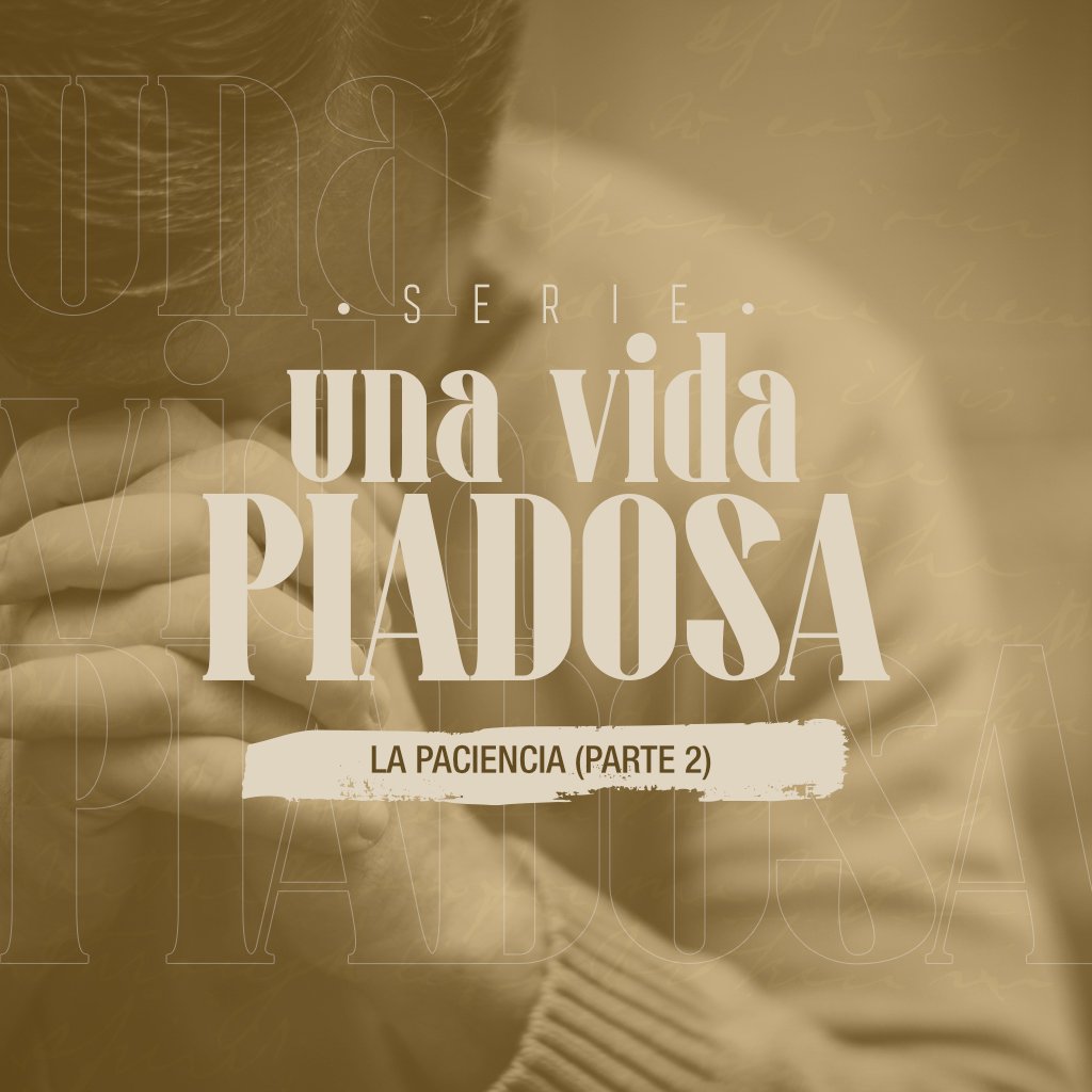 Volvamos a la Palabra