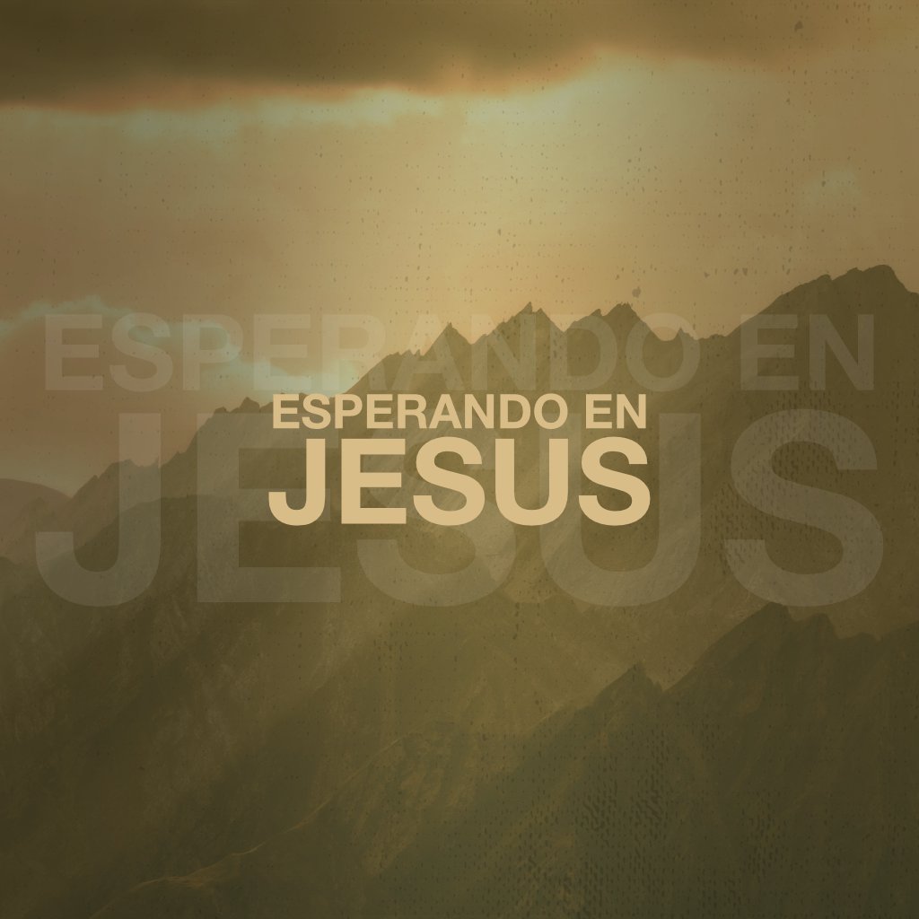 Volvamos a la Palabra