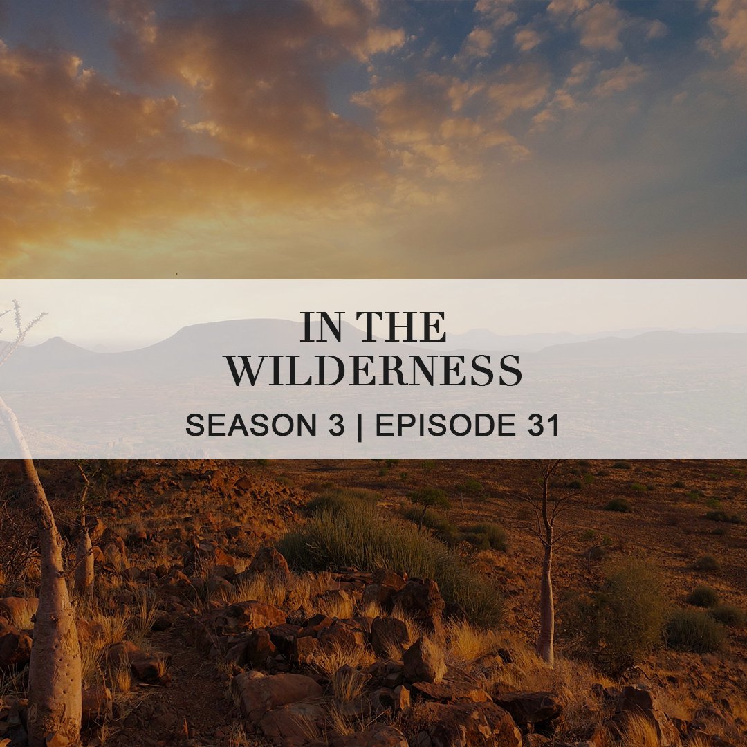 In The Wilderness episode artwork