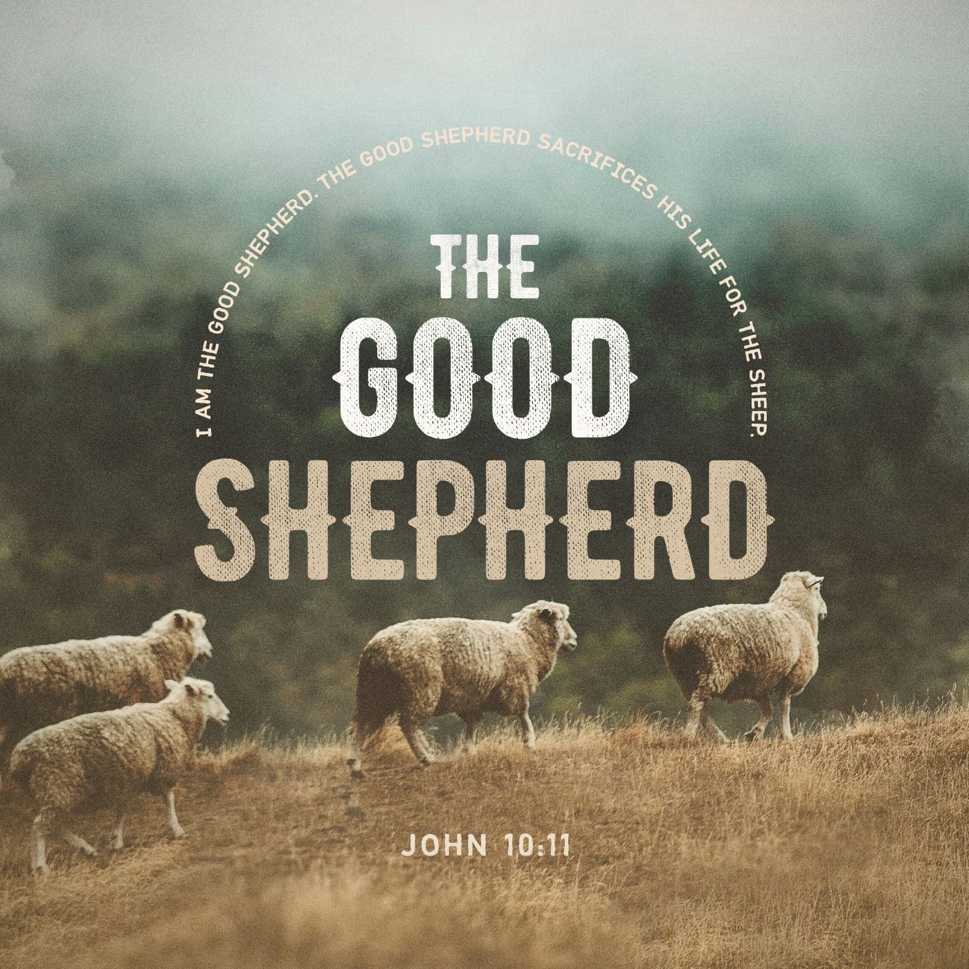 Sunday 11:30 AM LiveStream: I AM The Good Shepherd (conc) episode artwork