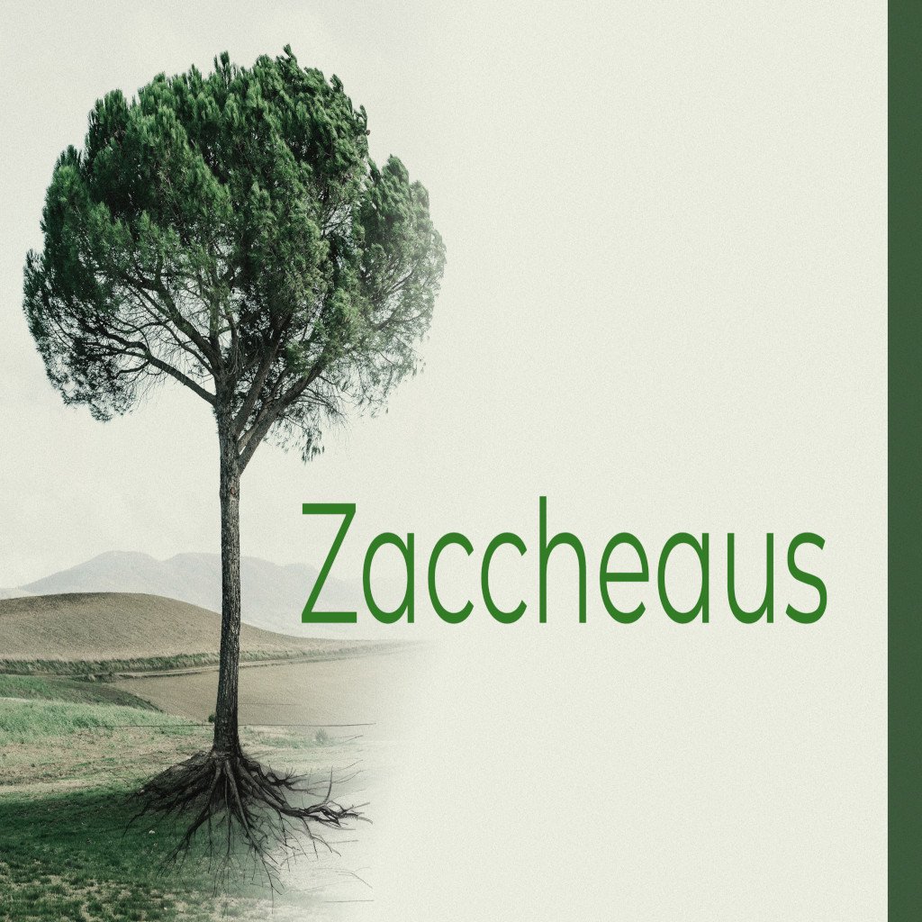 Zaccheaus episode artwork
