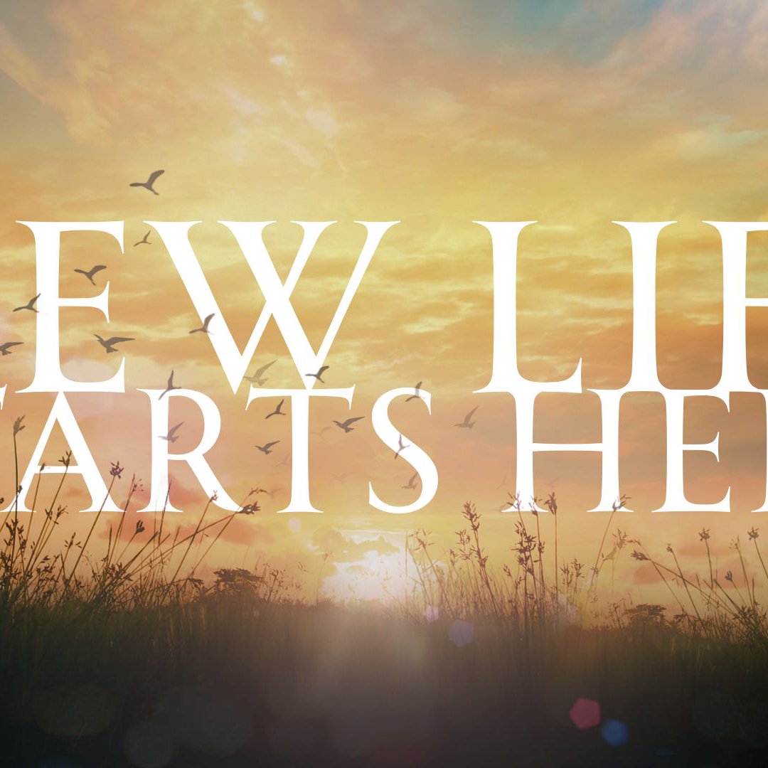 New Life Starts Here: Easter Sunday 2026 episode artwork