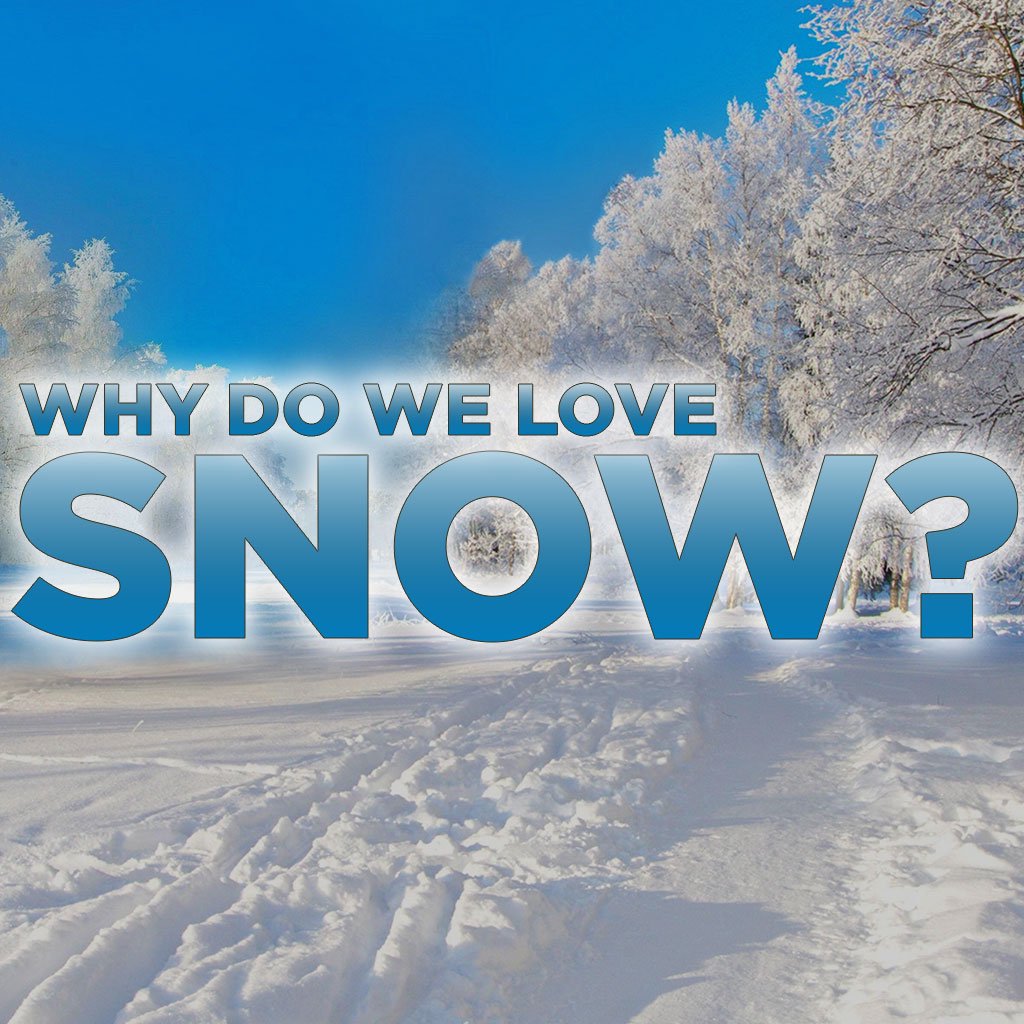 Why Do We Love Snow?